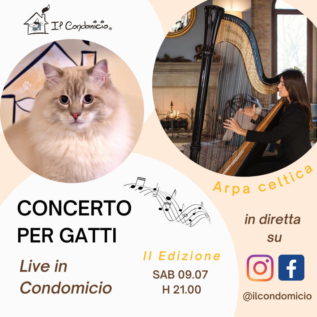 Concerto di arpa per gatti